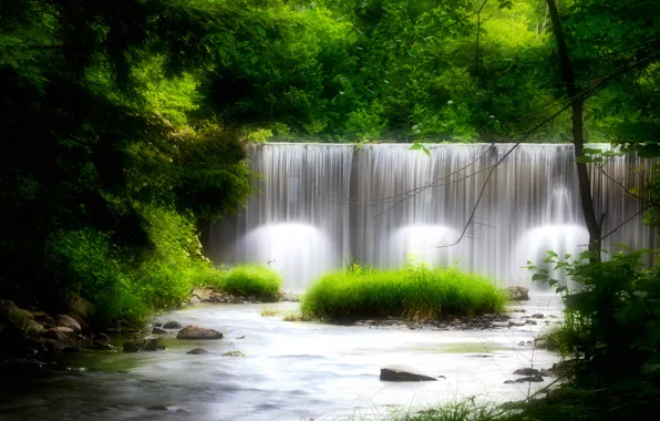 Картинка лес, листва, водопад