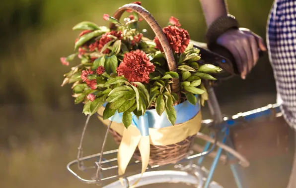 Картинка листья, девушка, цветы, велосипед, фон, widescreen, обои, корзина