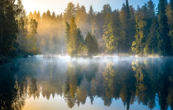 Картинка осень, лес, деревья, туман, озеро, отражение, рассвет, утро
