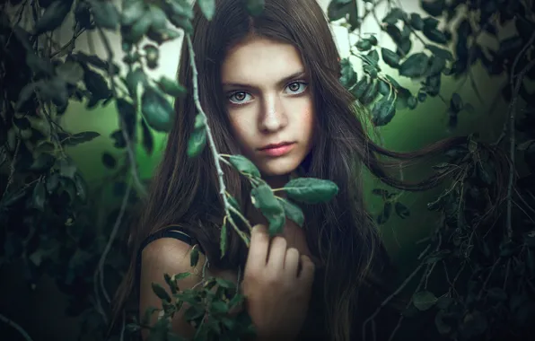 Листья, девушка, ветки, природа, лицо, Jessica Drossin