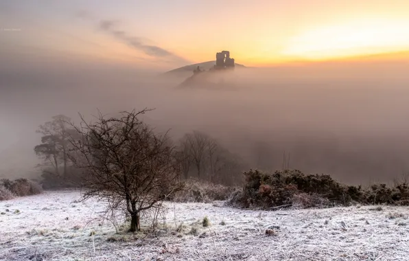 Картинка туман, дерево, утро, руины