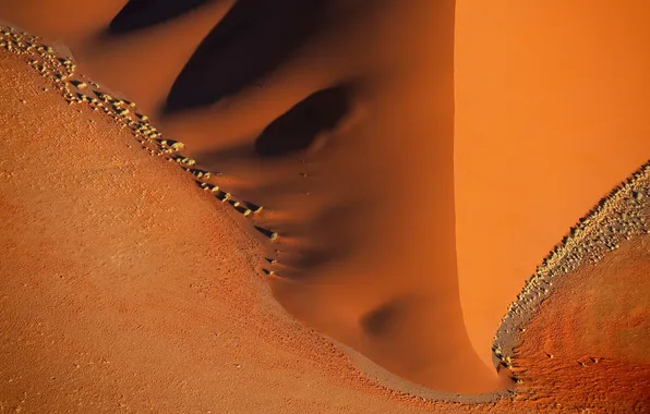 Wide, sand, orange, bush, Desert, umbra