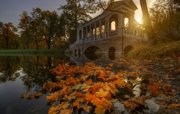 Картинка осень, солнце, пейзаж, пруд, парк, вечер, мостик, Гордеев Эдуард