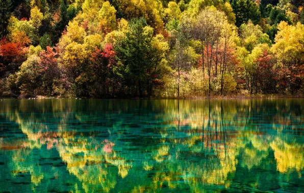 Осень, лес, пейзаж, природа, озеро, Китай, заповедник, Цзючжайгоу