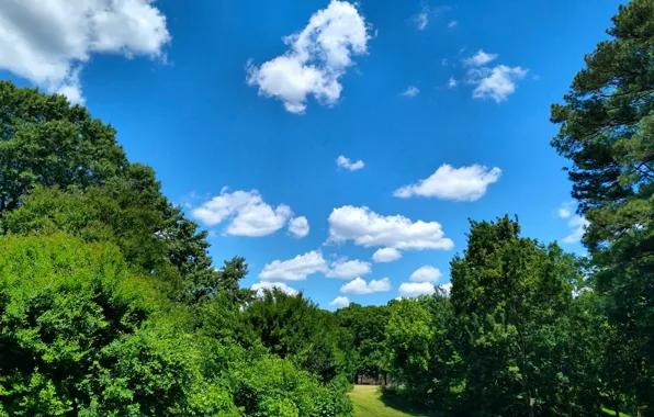 Park, clouds, spring, Fred Fletcher Park, Jim Perry