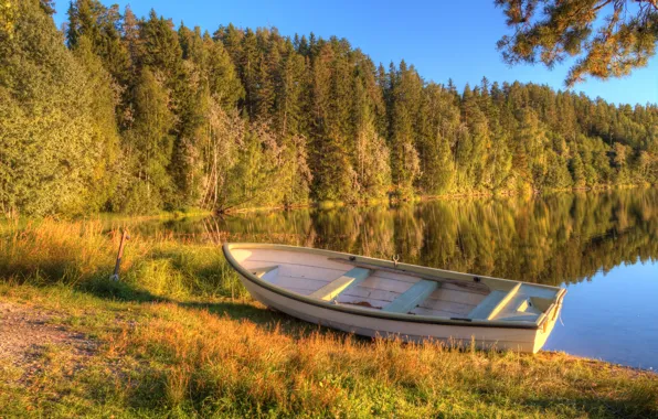 Картинка осень, лес, озеро, лодка, утро, ранняя