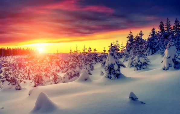 Картинка зима, небо, снег, пейзаж, природа, white, sky, landscape