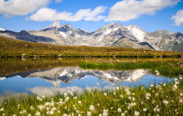 Картинка горы, озеро, отражение, Швейцария, Альпы, пушица