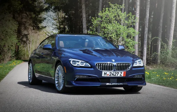 Бмв, BMW, Gran Coupe, xDrive, US-spec, F06, Alpina, 2015