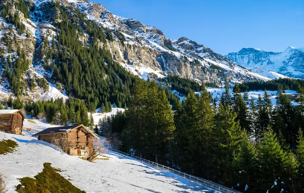 Картинка зима, снег, деревья, горы, скалы, Швейцария, склон, Альпы