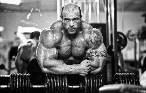 Muscles, bodybuilder, morgan aste, big rock