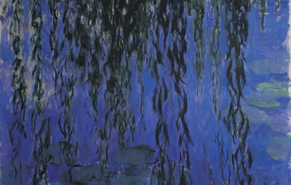 Картинка Claude Monet, Water-Lilies, and Weeping Willow Branches