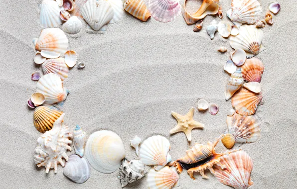 Песок, пляж, рамка, ракушки, sand, starfish, seashells