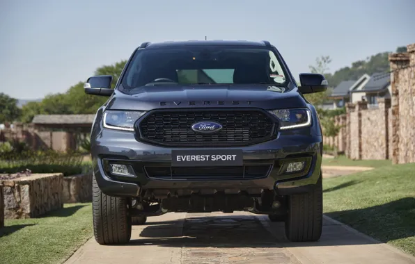 Картинка Ford, перед, Sport, Everest, 4WD, 2021