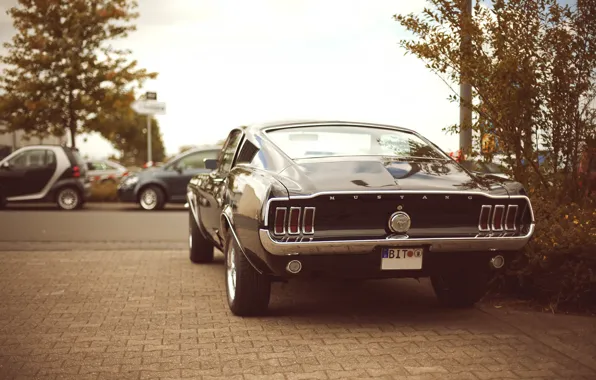 Car, mustang, мустанг, ford, форд, muscle