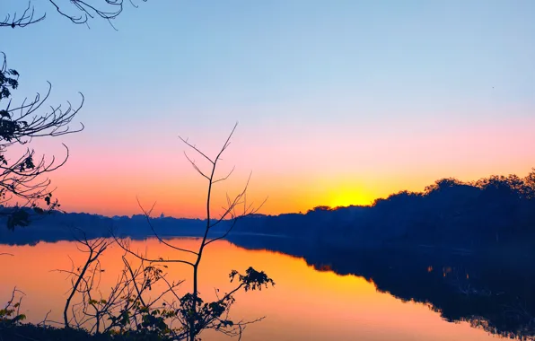 Sun, Water, Sunrise, Dawn, Morning, Lake, Trees, Reflection