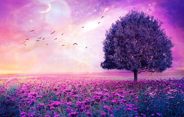 Tree, birds, Violet