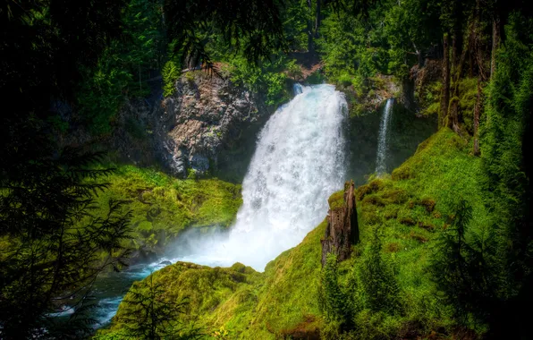 Картинка зелень, лес, деревья, камни, водопад, мох, США, Oregon