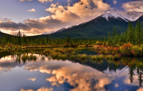 Картинка осень, лес, горы, озеро, отражение, Канада, Альберта, Banff National Park