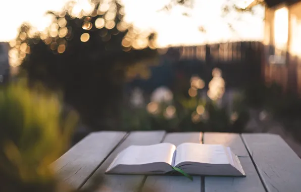 Relax, Table, Christian, Summer, God, Book, Bible, Sunlight