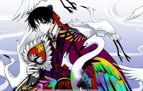 Взгляд, птицы, арт, парень, xxxHolic