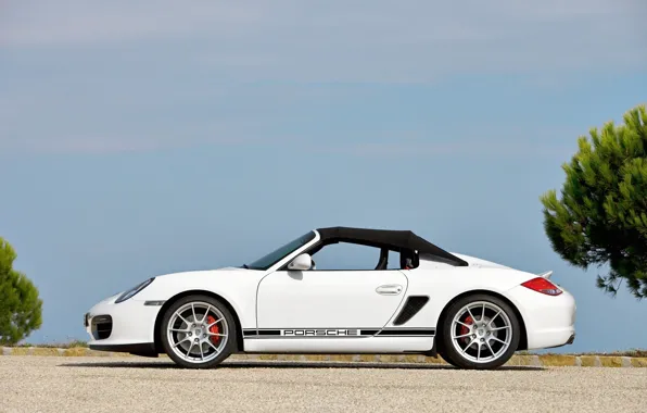 Картинка Porsche, 2010, Boxster, Spyder