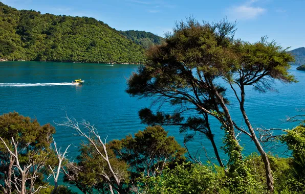 Картинка природа, фото, South Island, река Новая Зеландия