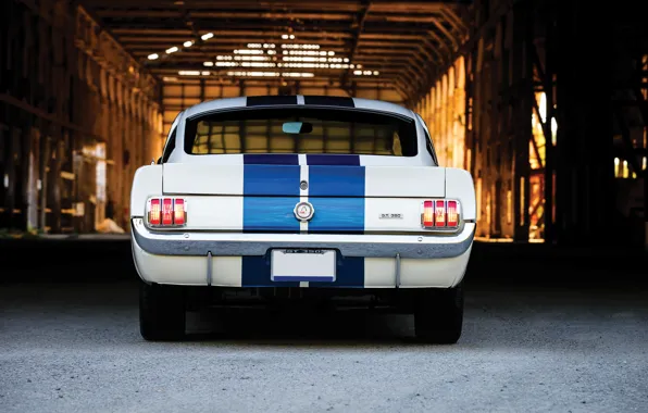 Mustang, Ford, Ford Mustang Shelby GT350, rear view