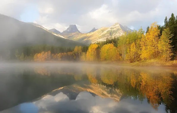 Картинка осень, лес, деревья, горы, природа, озеро, утро, дымка