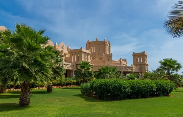 Пальмы, отель, Hotel Grounds