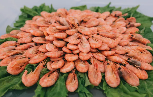 Зелень, салат, морепродукты, Креветки
