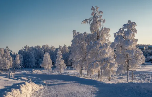 Картинка зима, дорога, снег