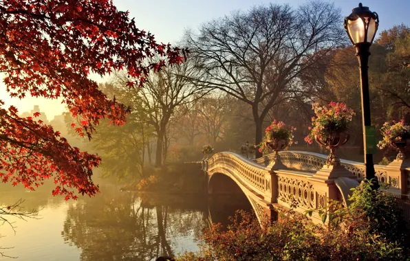Картинка осень, пейзаж, мост, парк, bridge, park, autumn, fall season