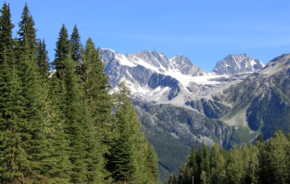 Лес, деревья, горы, ледник, ущелье, USA, Glacier, Montana