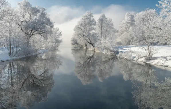 Зима, иней, деревья, отражение, река, Германия, Бавария, Germany