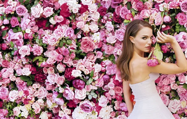 Картинка девушка, цветы, белое, розы, платье, актриса, Natalie Portman, Натали Портман