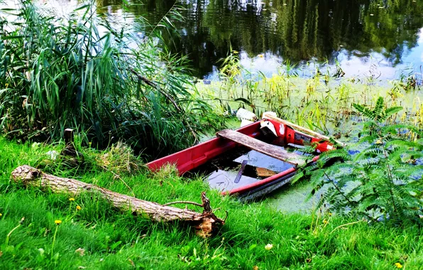 Green, nature, boat