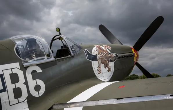 Mustang, Винт, Истребитель, USAF, Вторая Мировая Война, North American P-51 Mustang, Крыло, P-51B Mustang