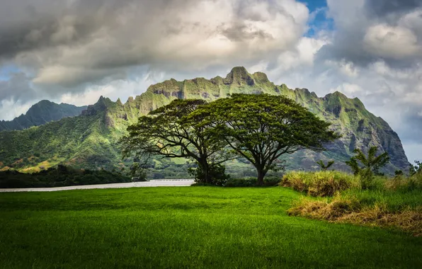 Картинка трава, облака, пейзаж, горы, природа, река, Гавайи, Hawaii