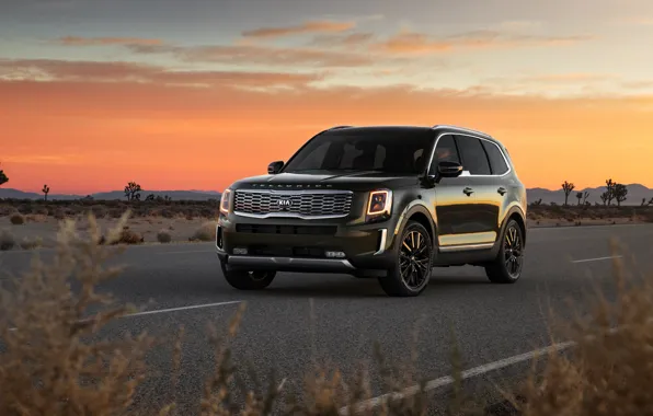 Закат, вечер, Kia, Telluride, 2020