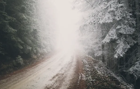 Картинка зима, иней, дорога, лес, природа, туман, Австрия, мороз