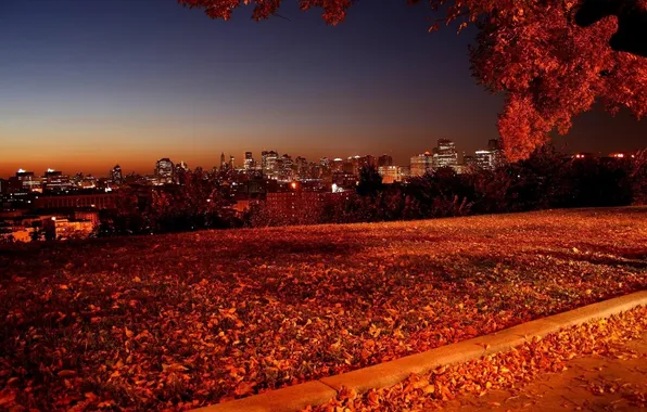 Картинка осень, небо, свет, пейзаж, ночь, природа, город, улица