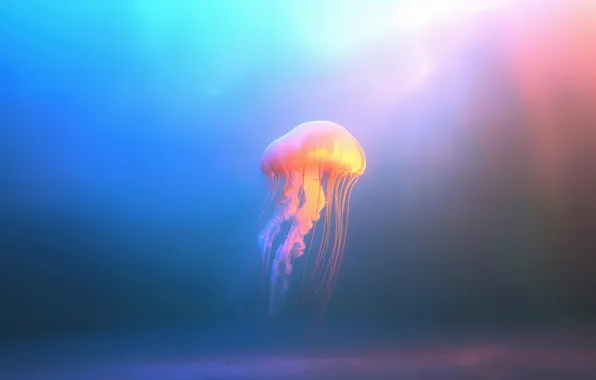 Картинка ocean, ai art, medusa