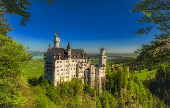 Деревья, замок, Германия, Бавария, Germany, Bavaria, Neuschwanstein Castle, Замок Нойшванштайн