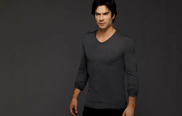 Обои Серый, Фон, Актер, Мужчина, Сериал, The Vampire Diaries.