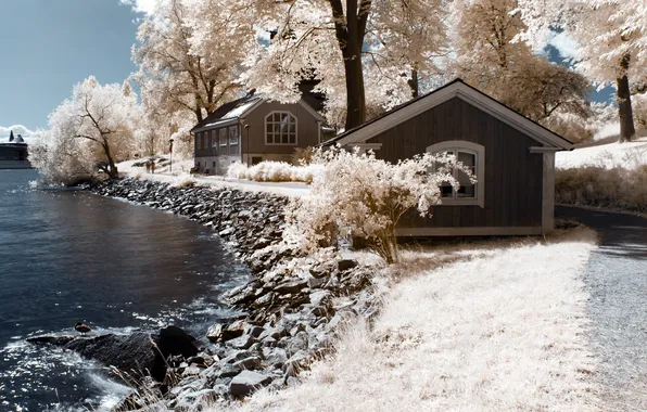 Деревья, река, цвет, домик