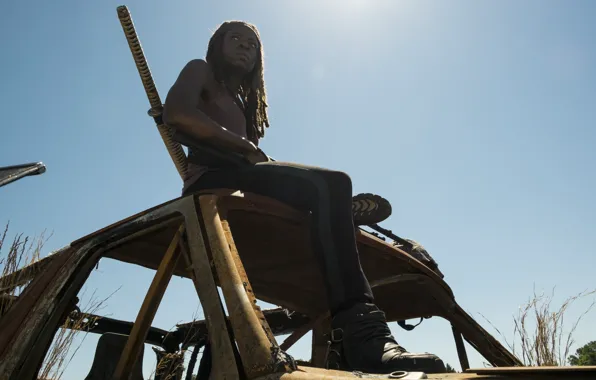 The Walking Dead, Michonne, Danai Gurira, Season 7