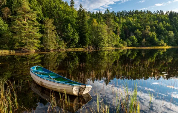 Картинка лес, озеро, отражение, лодка, Норвегия