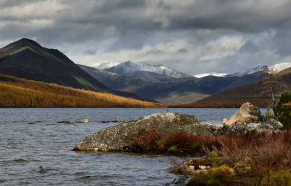 Картинка осень, лес, небо, облака, горы, пасмурно, холмы, берег