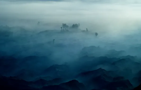 Картинка деревья, горы, туман